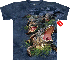 �������� The Mountain - Gator Bog 2010