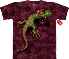 �������� The Mountain - Peace Out Gecko 2010
