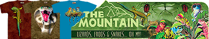 The
            Mountain Lizards, Frog & Snakes