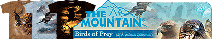 The Mountain Birds of Pray