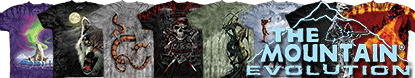 The Mountain Evolution