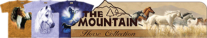 Horse Collection