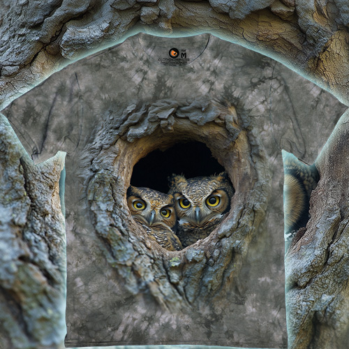 Совиний Комітет