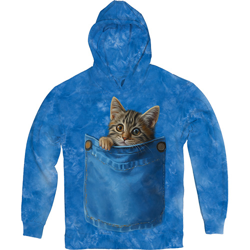 Кошеня в Кишені