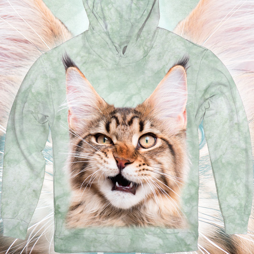 Кіт Мейн-Кун