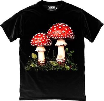 Казковий Грибочок