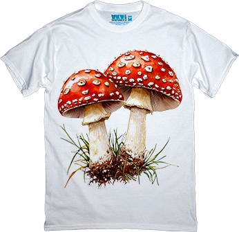 Мухоморний Шик