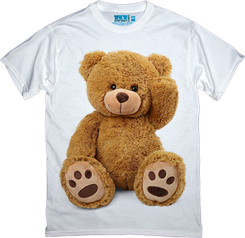 Teddy Bear